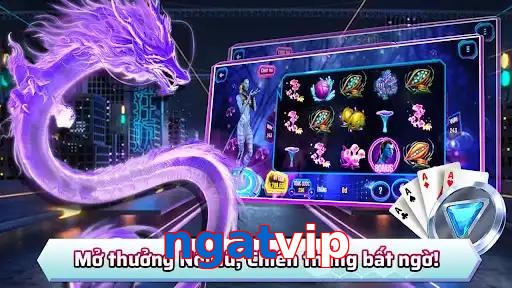 ngatvip