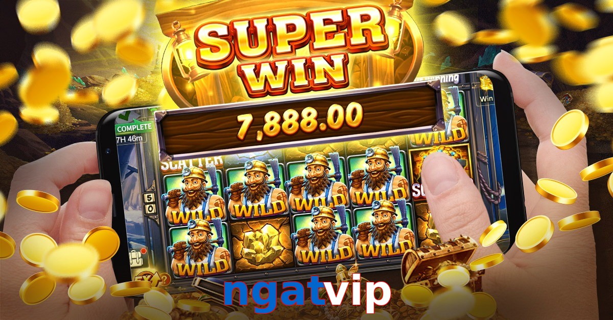 ngatvip