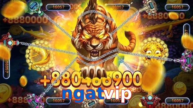 ngatvip