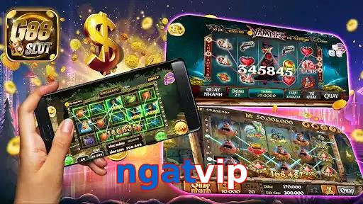 ngatvip