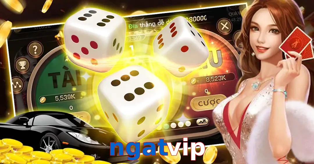 ngatvip