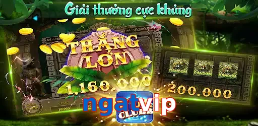 ngatvip