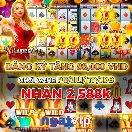 ngatvip