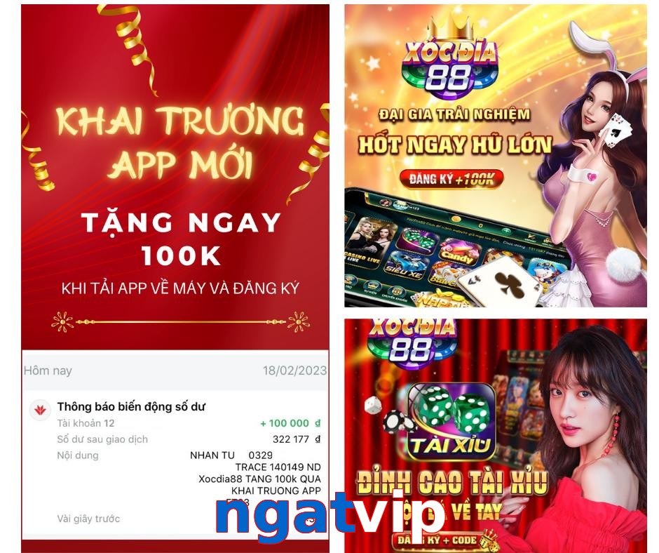 ngatvip